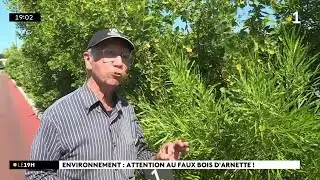 Alerte aux faux Bois d’Arnette.