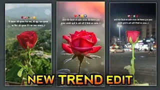 🌹Rose Day Status Editing | 🌹Rose Day Video Editing |🌹Rose Day Status Editing Alight Motion