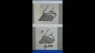 Name The Stage of Hoof Development