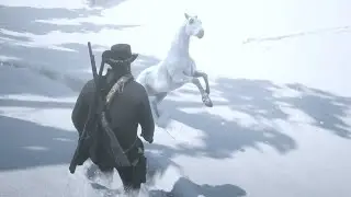 Red Dead Redemption Taming The Arabian   Horse