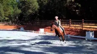 Crow's Ear Farm-Model American