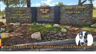 Harley Golf Cart Traffic Report