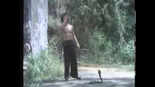 YOUNG BRUCE LEE....