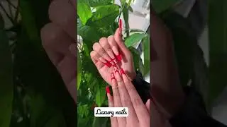 Luxury nails