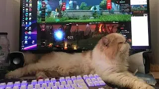 🔴 LIVE DOTA 2 | MƯA GI&Oacute; Ở NH&Agrave; BAY RANK TH&Ocirc;I - KUDO
