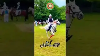 Tent Pegging In UK 🇬🇧 #equestrian #shortvideo #horserider #youtubeshorts #nezabazi #equestrianrider