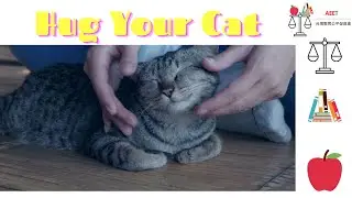 National Hug Your Cat Day 國際抱貓日