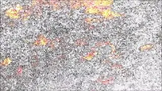 Lustrum - Desultory
