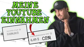 Meine Youtube EINNAHMEN vom 