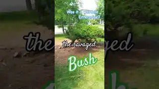 The Savaged Bus: A Follow Up  #gardenwork #longbranchto