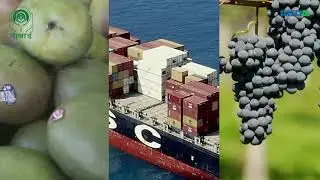 Agriculture Export Facilitation Centre | A Joint Initiative by MCCIA and NABARD