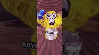 Rankings easy to impossible routes￼ in gorilla tag 