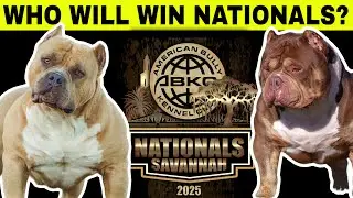 ABKC NATIONAL PREVIEW & PREDICTIONS!!!