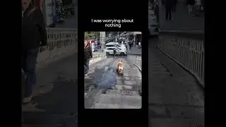 Я ужасно боялась, что он врежется в машину, но, как оказалось, мои опасения были напрасны.
