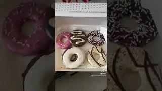 Doggy Donuts!