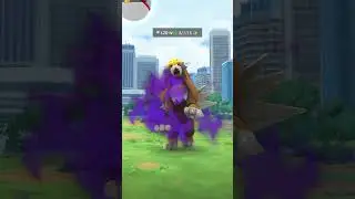 Shiny legendary Pokemon #pok&eacute;mon #pokemon #game #entei