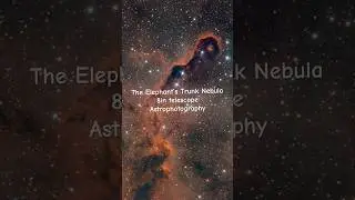 The Elephant&rsquo;s Trunk Nebula 8in Newtonian telescope #telescope #astronomy #space #nasa #universe