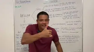 DIREITO CONSTITUCIONAL - BRASILEIRO NATO X NATURALIZADO