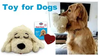 Snuggle Puppy Heartbeat Stuffed Toy for Dogs - Pet Anxiety Relief and Calming Aid - Biscuit