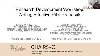 Research Development Workshop: Writing Effective Pilot Proposals