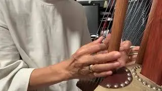 J.S. Bach sound on kora - west African harp