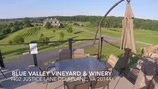 Blue Valley Vineyard & Winery Delaplane Virginia by Incredible DJs
