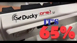 DUCKY ONE 2 SF || SIXTY FIVE PERCENT || MX CHERRY BLUE || GAMING KEYBOARD || UNBOXING ||