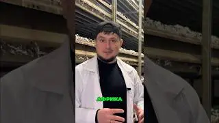 Заходи в нашу группу 👉  