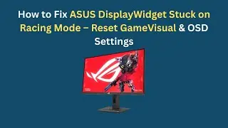 Как исправить зависание ASUS DisplayWidget в гоночном режиме &mdash; сброс настроек GameVisual и OSD