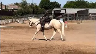 CAWDA 2024 June Bloom Intro test 1 Open