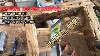 초보토종벌 내년 벌통 준비시 100% 입주 확율 올리는 비밀 꿀팁! #토종벌 #초보토종벌 #토종꿀통