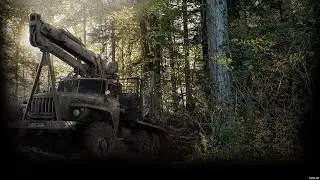 Будни в Спинтайрес #1