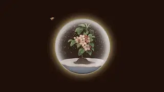 Nacho Vegas - La flor de la manzana ft. Mancha 'E Plátano