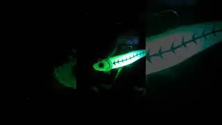 Glow-in-the-Dark Lures for Night Fishing Cape Cod Canal #Shorts #Subscribe