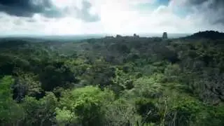 WORLDMAGNUM: THE RAINFOREST ALLIANCE