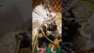 Today&rsquo;s divine shringar darshan of shri radharaman lal ju vrindavan dham 🙌🏻🥰🦚