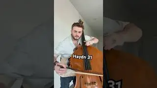 #doublebassplayer #doublebass #orchestra #classicalmusicians #haydn #bassplayer #basssolo #bassists