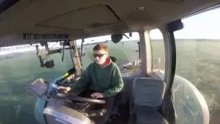 Rolling in the silage ground