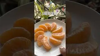 A day in my life ✨❤️#viral #trending #minivlog #shortvideo #