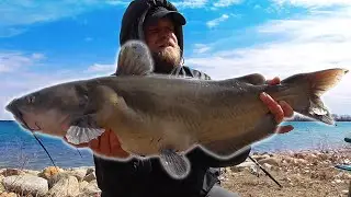 Spring Catfishing from the BANK! (Big Fish, New PB)