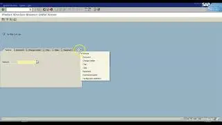 7B SAP DEMO CC04 Structure Edit (like ih01)