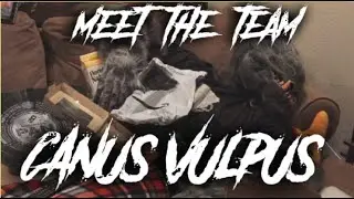 Arkosh Gaming: Meet the Team: Canus Vulpus