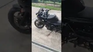 Yamaha XJ6 Diversion FZ6R (2009)