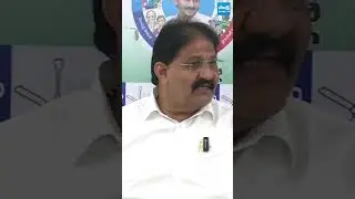 చంద్రబాబు కాదు అబద్దాల కోరు #rachamallusivaprasad #chandrababu #ttdladduissue #sakshitvlive