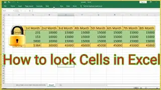 How to lock Cells in Excel or Spreadsheet