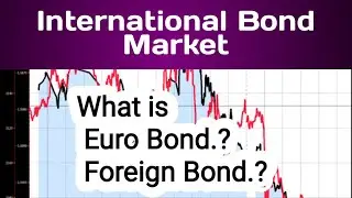 International Bond Market | what is Euro and Foreign Bond|