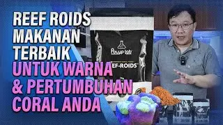 Reef Roids : Makanan Terbaik Untuk Pewarnaan dan Pertumbuhan Coral !