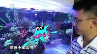 高手驾到——顺德小熊绝美1米5硬骨礁岩缸！