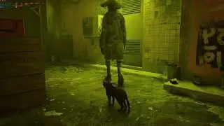 Stray Ray tracing ON