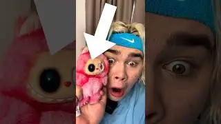 💥КАМЕРА В ЛАБУБУ💥